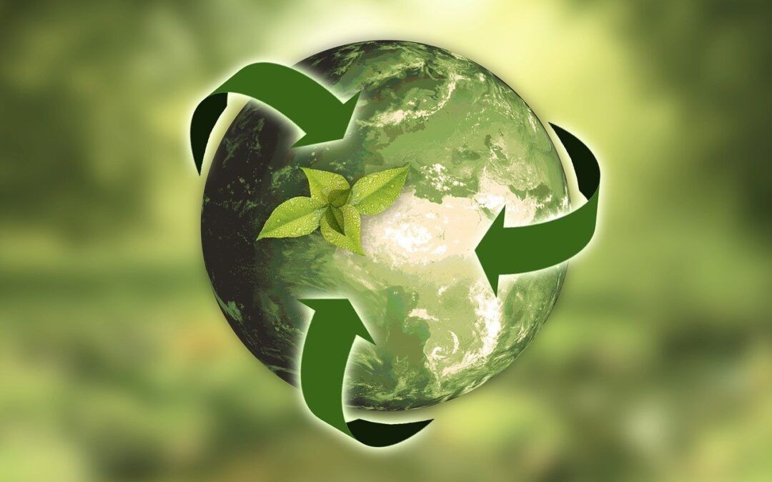 Tendencias en embalaje sostenible: Opciones ecológicas para tu negocio
